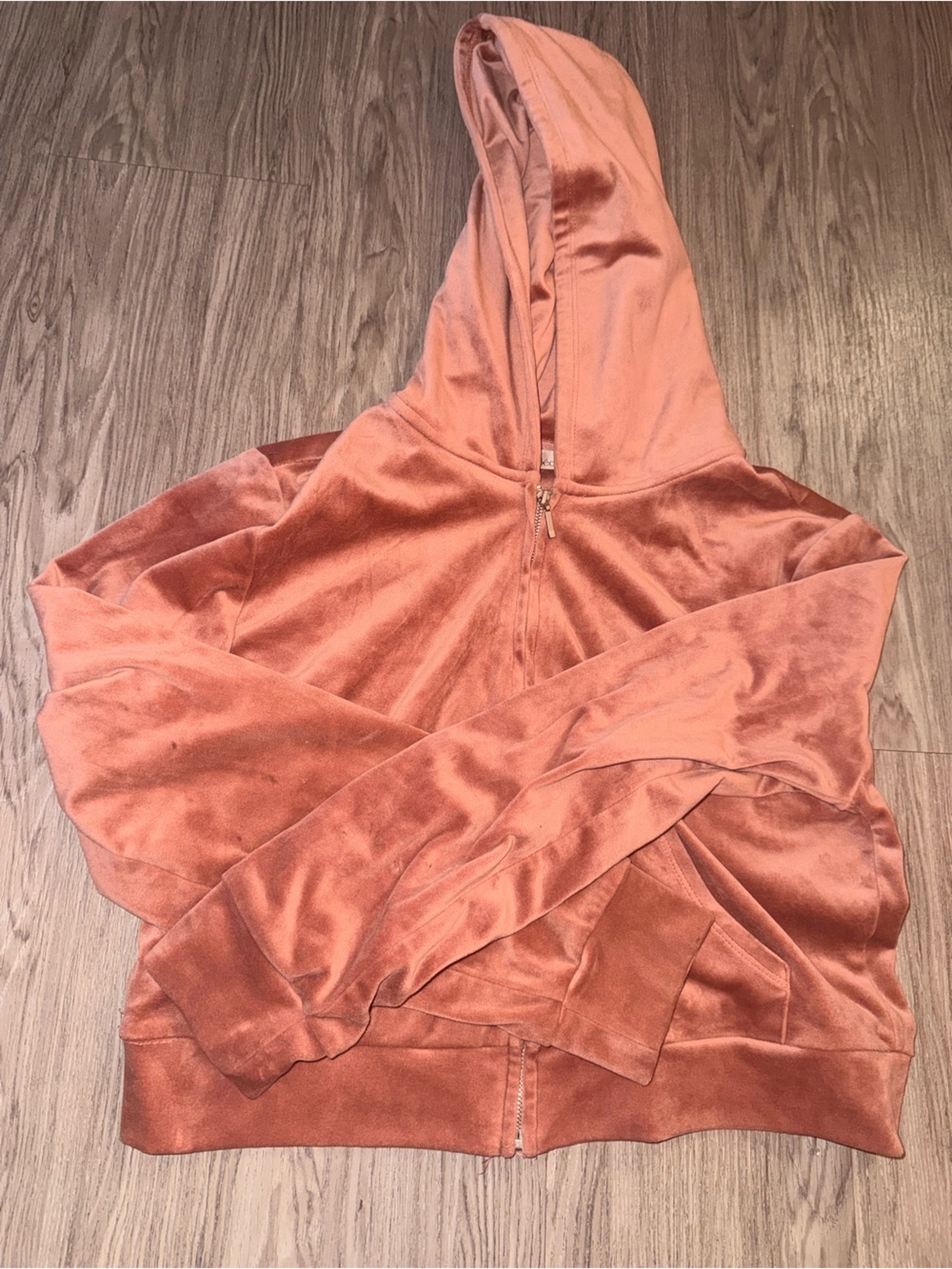 BE COOL Plush Zip Hoodie in Rose Clay - Picture 3 of 4